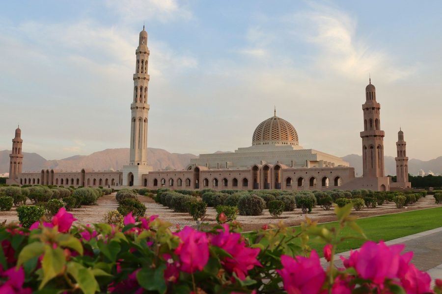 Muscat highlight