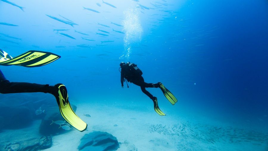 PADI Scuba Certification