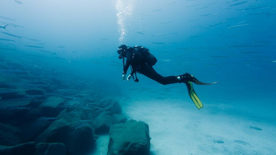 Aquarium Dive Site