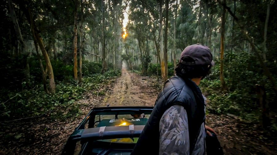 Jim Corbett National Park