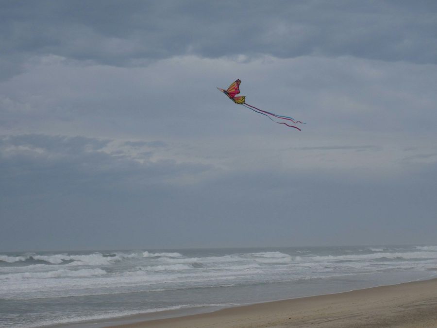 Kite Festival Grounds