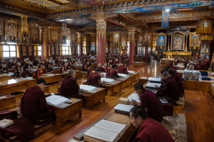 The Karma Shri Nalanda Institute