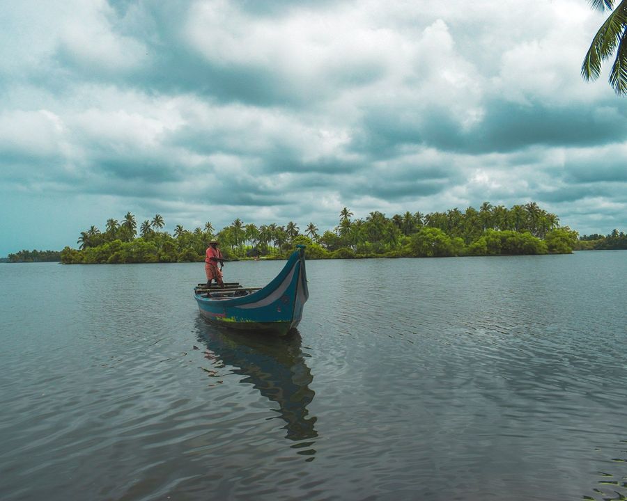 Stand-Up Paddleboarding in Backwaters