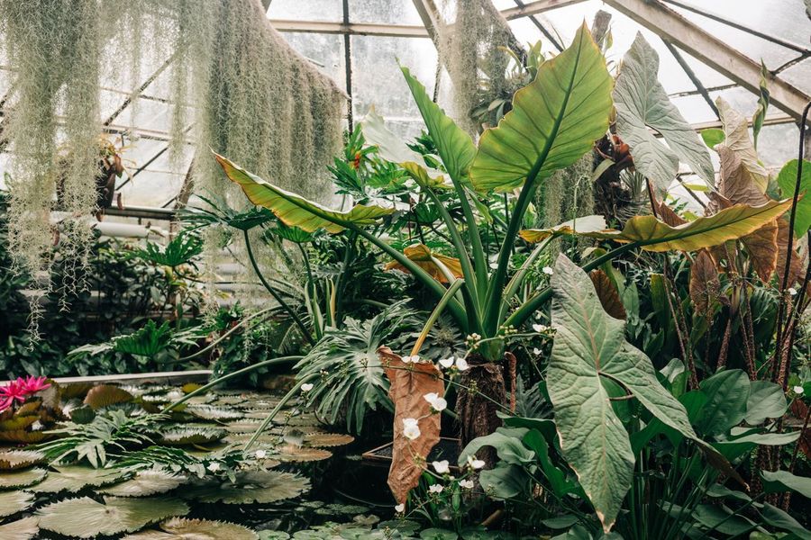 Themed gardens