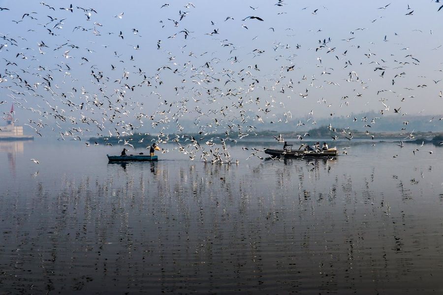 Kayak on the Yamuna at Sunrise