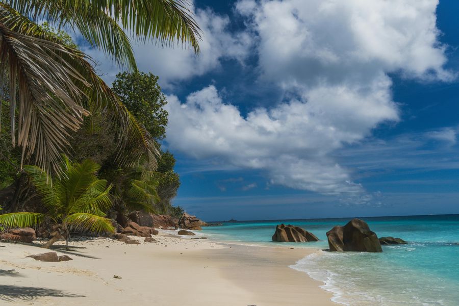 Seychelles highlight