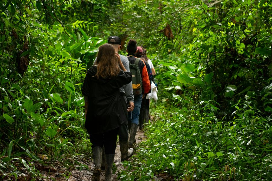 Forest Trek to Hanuman Garhi