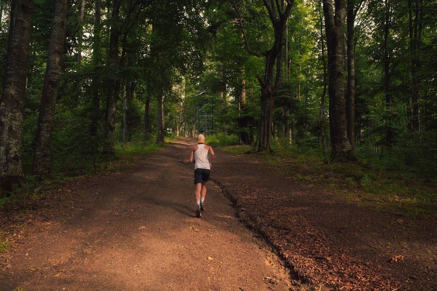 Trail Running at Ananthagiri Hills