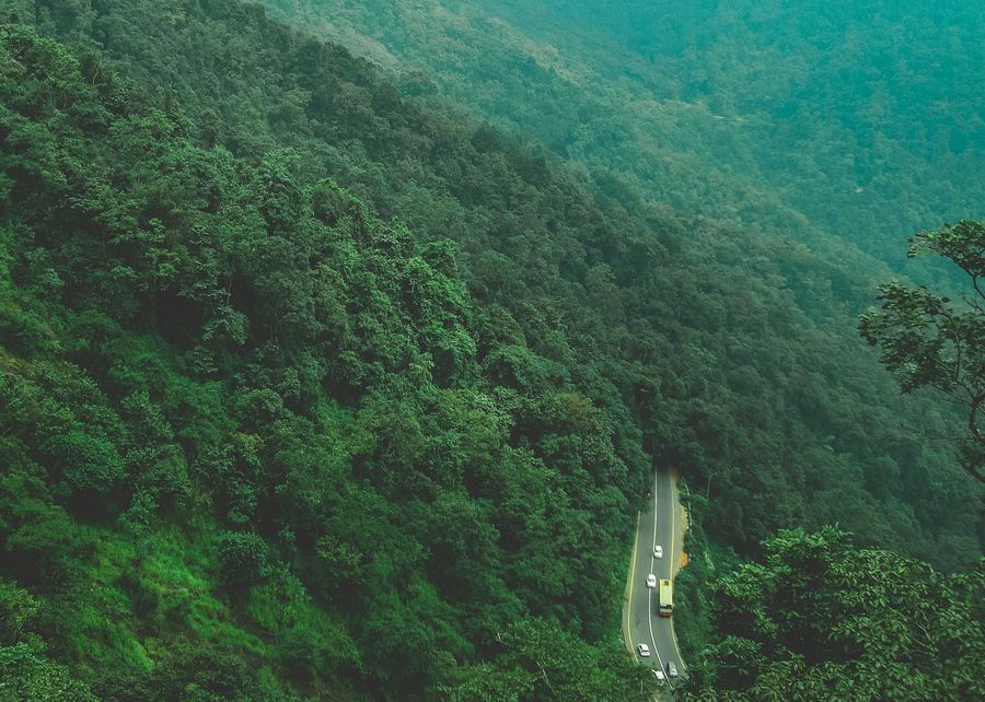 Agumbe highlight