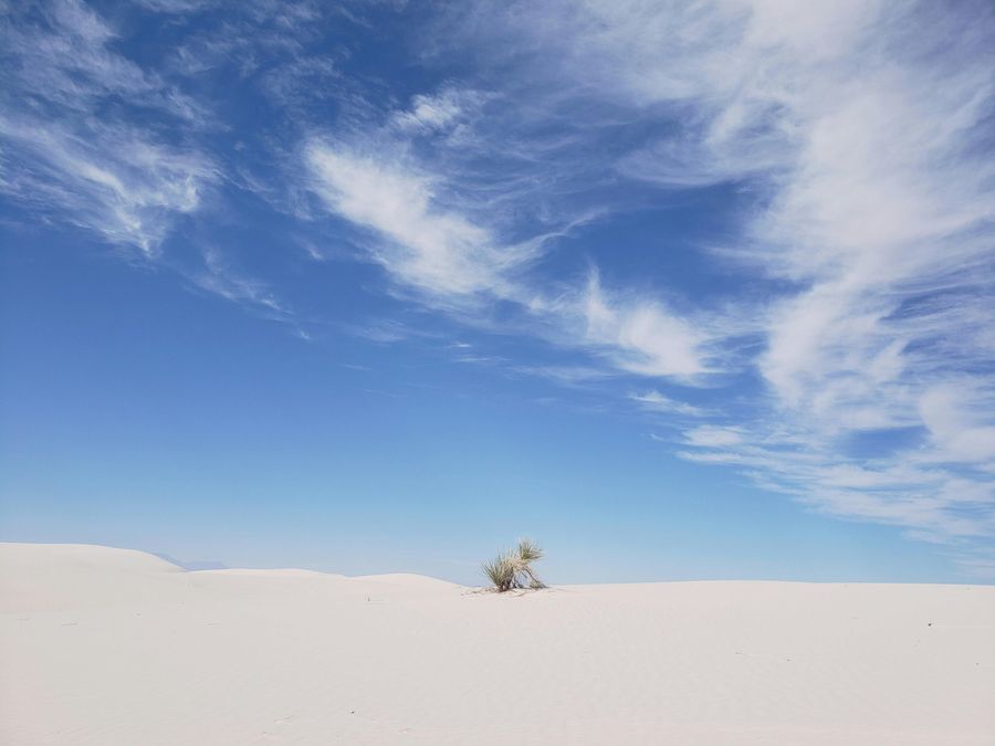 White Salt Desert at Dhordo