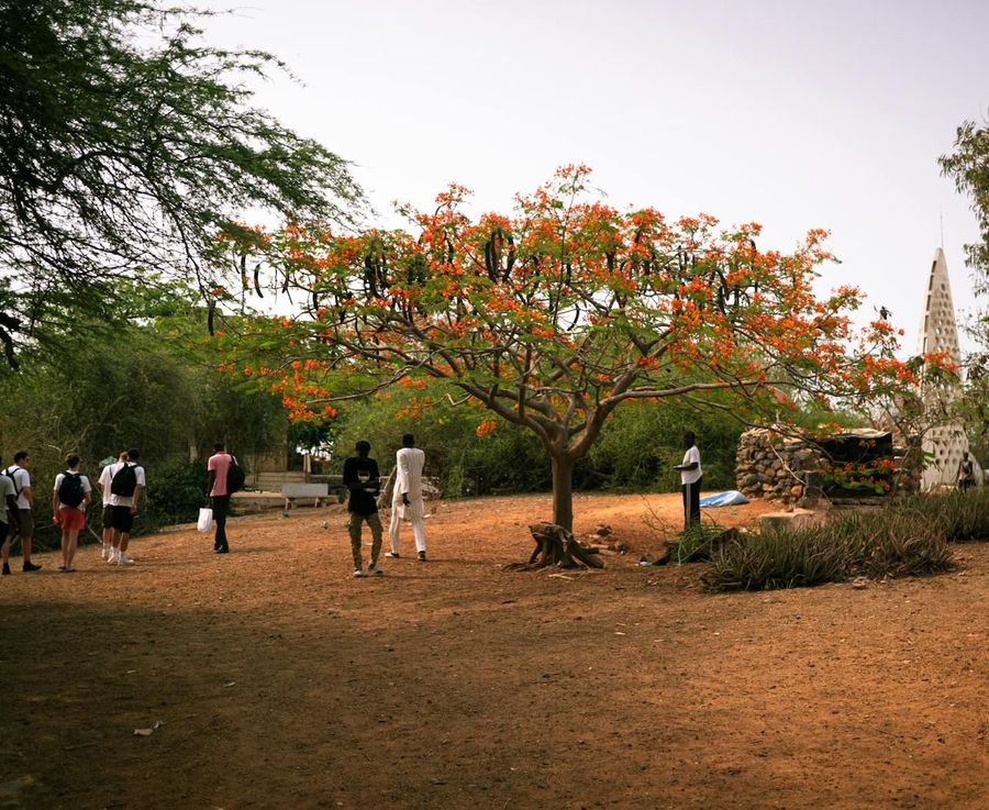 Auroville Visitor Centre & Communities
