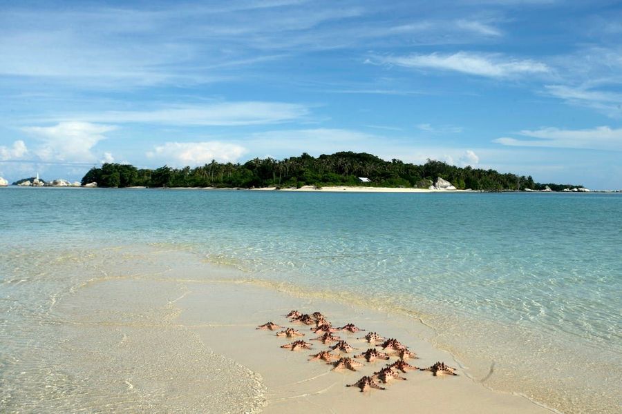 Bangaram Island highlight