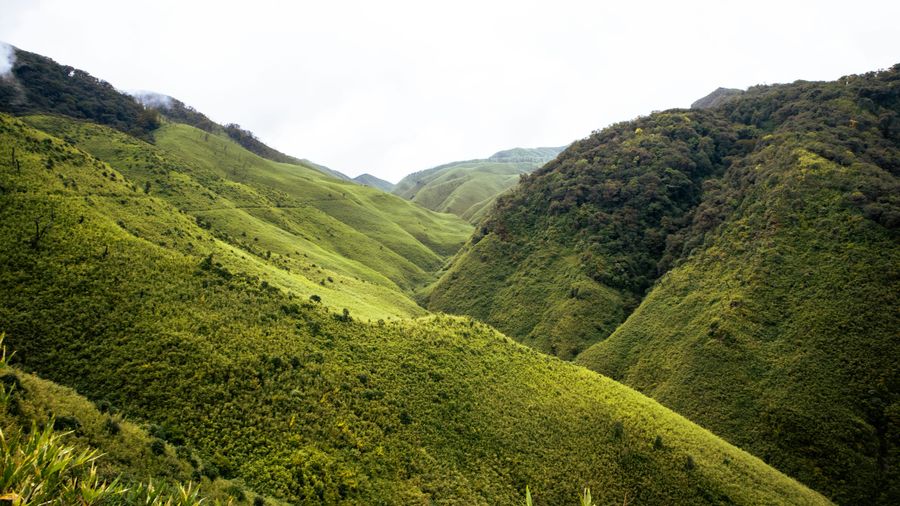 Japfu Peak