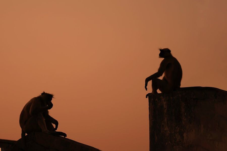 Sunset Point & Monkey Point