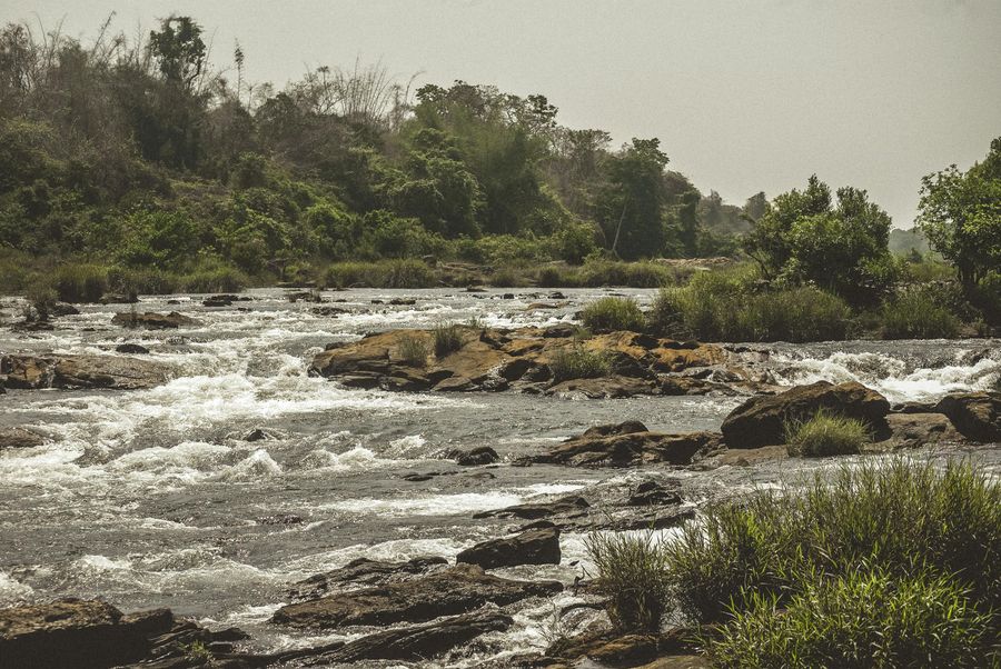 Dandeli highlight