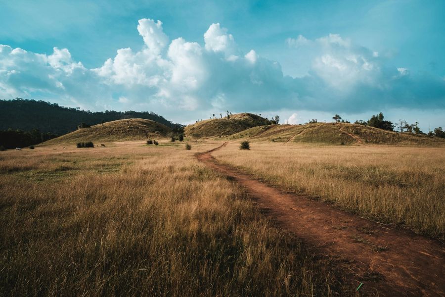 Dhikala Grasslands