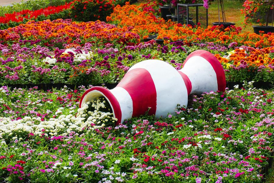 Fossilised Tree Trunk