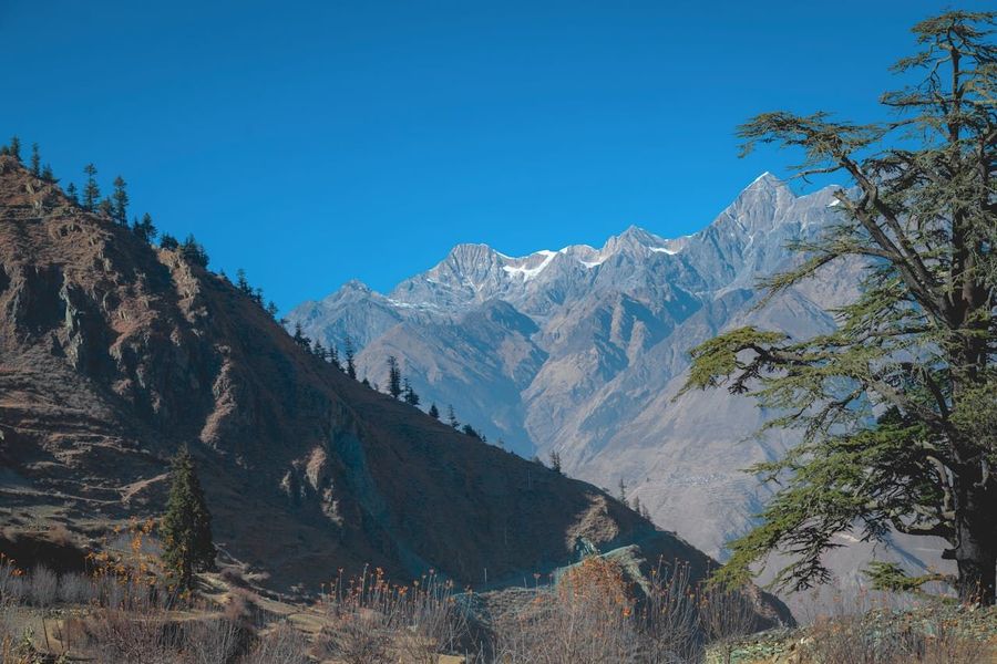 Nanda Devi National Park