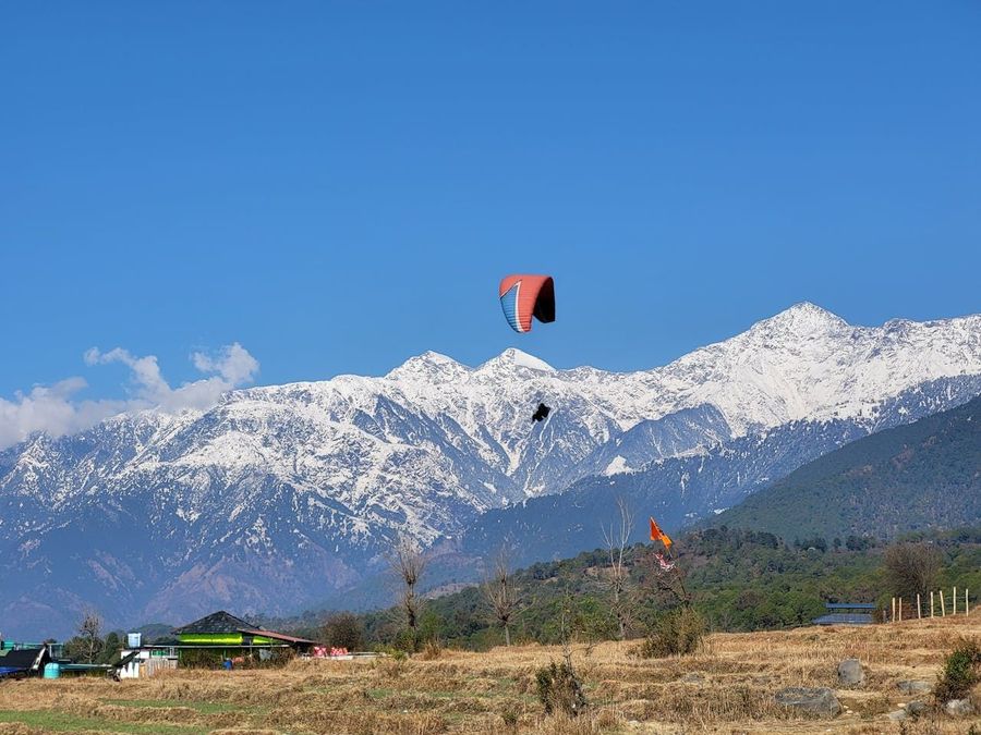 Paragliding over Tea Gardens