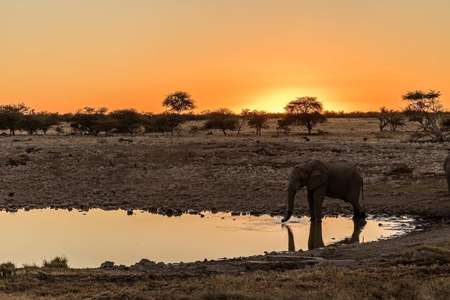 Waterhole Rest Stops