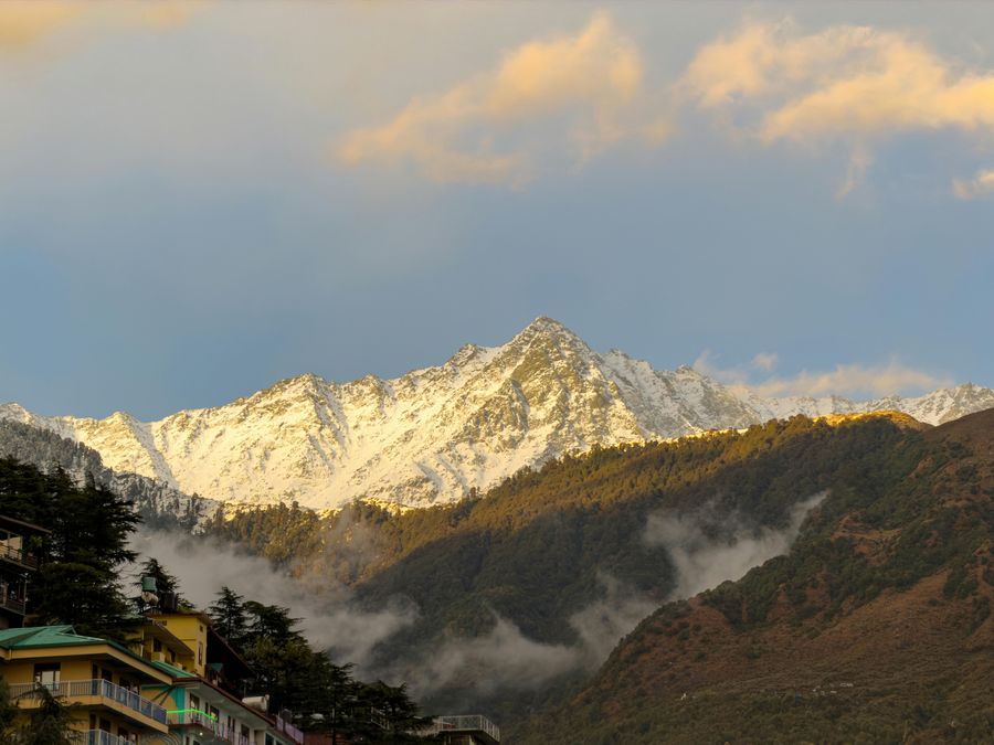 Dharamshala highlight