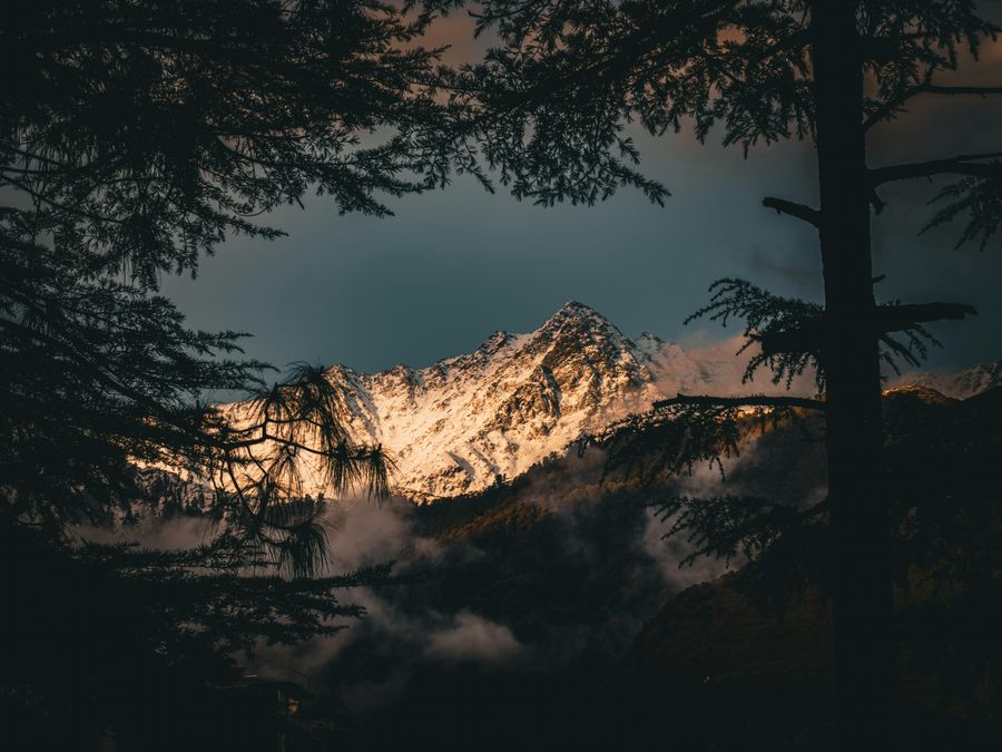 Kasol highlight