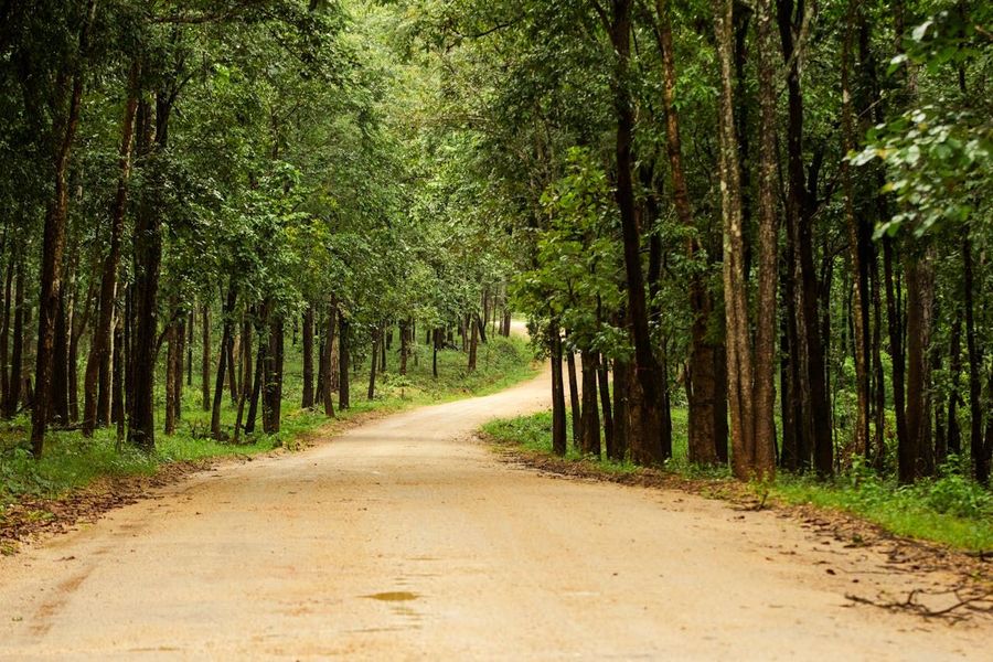 Kabini National Park highlight