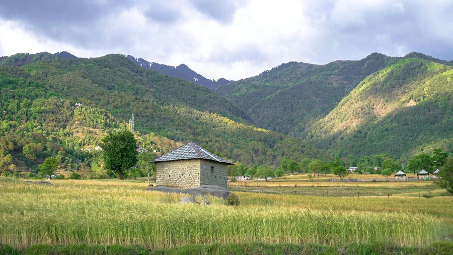 Bir Billing highlight