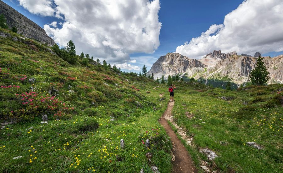 Valley of Flowers Trek