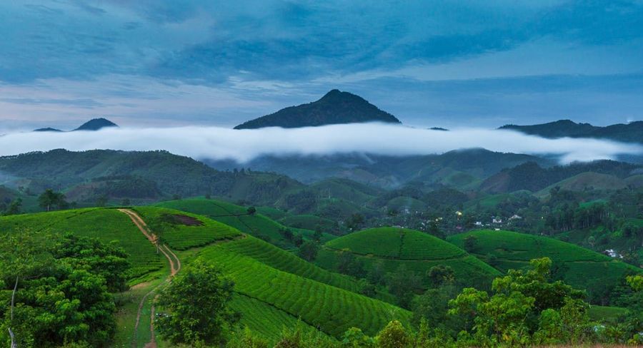 Biligiriranga Hills highlight