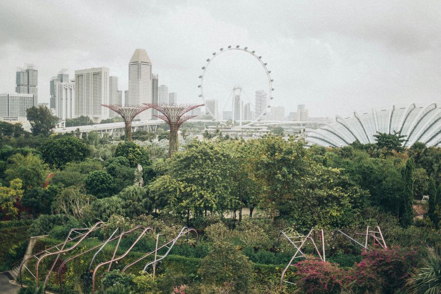 Gardens by the Bay