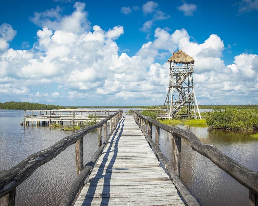 Visitor Walkway & Watchtowers
