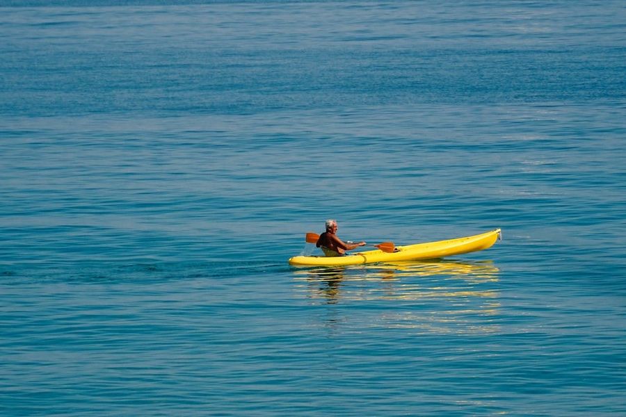 Sea Kayaking through Mangrove Creeks