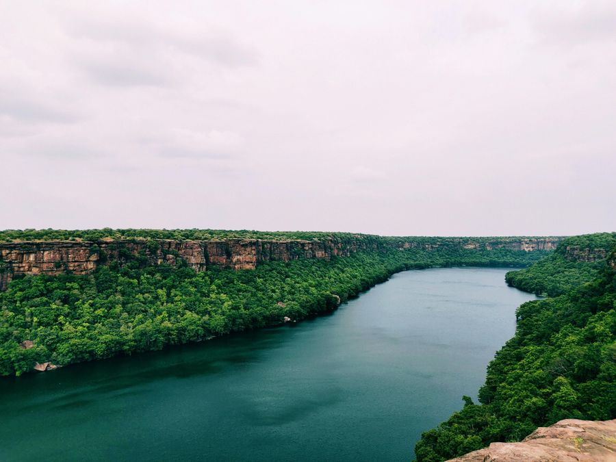 Forest-Enclosed Gorge