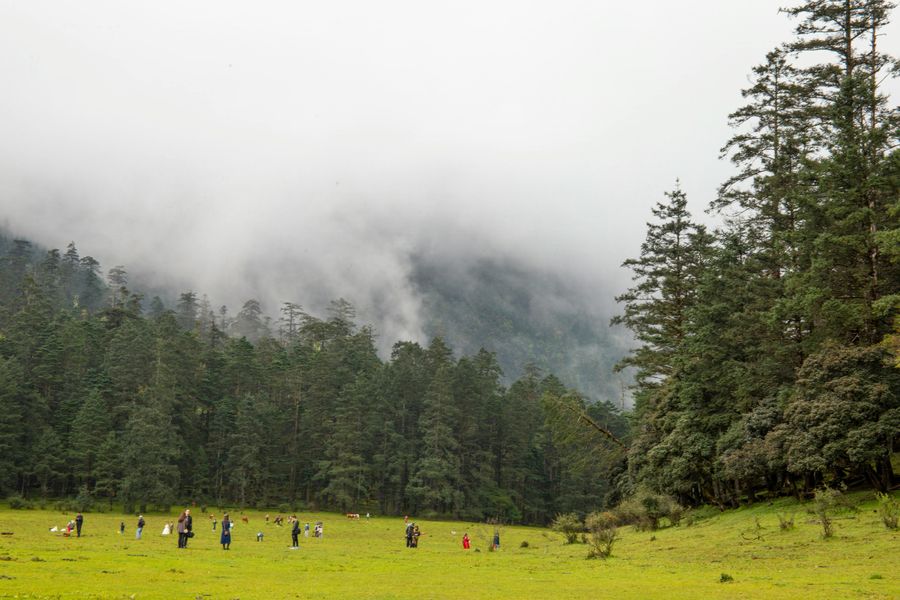 Khajjiar Meadow