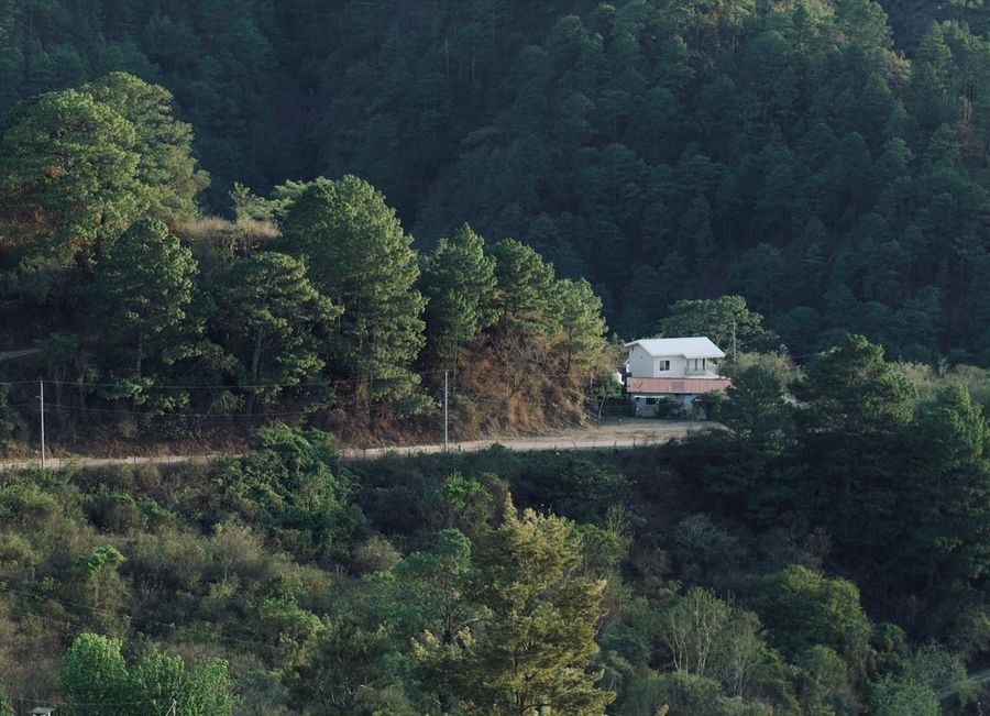 Chahala Forest Rest House Stay