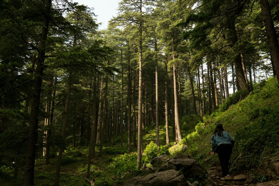 Kasol highlight
