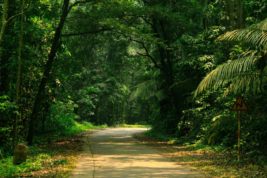 Agumbe highlight