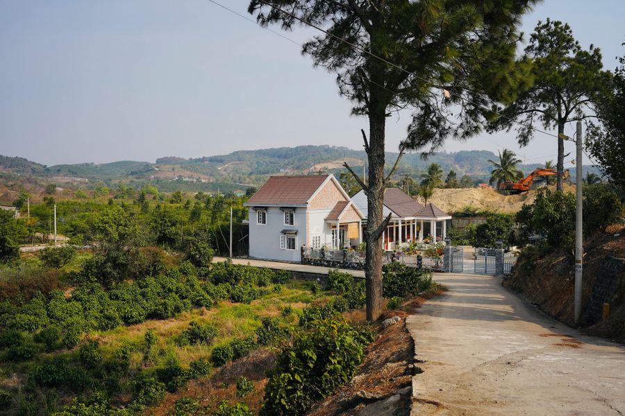Coffee Estate Homestay