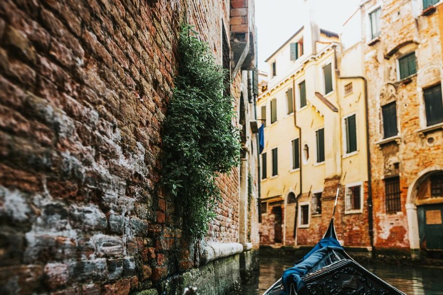 Venice highlight