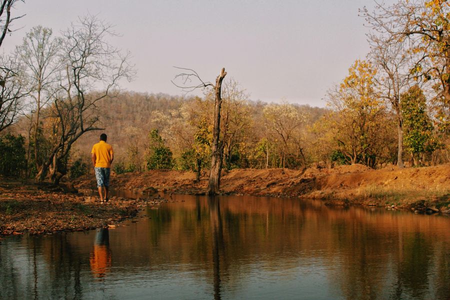 Dandeli highlight