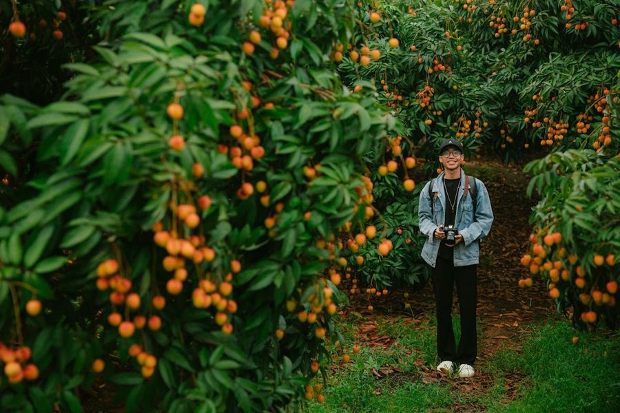 Fruit Orchards and Local Produce Stops