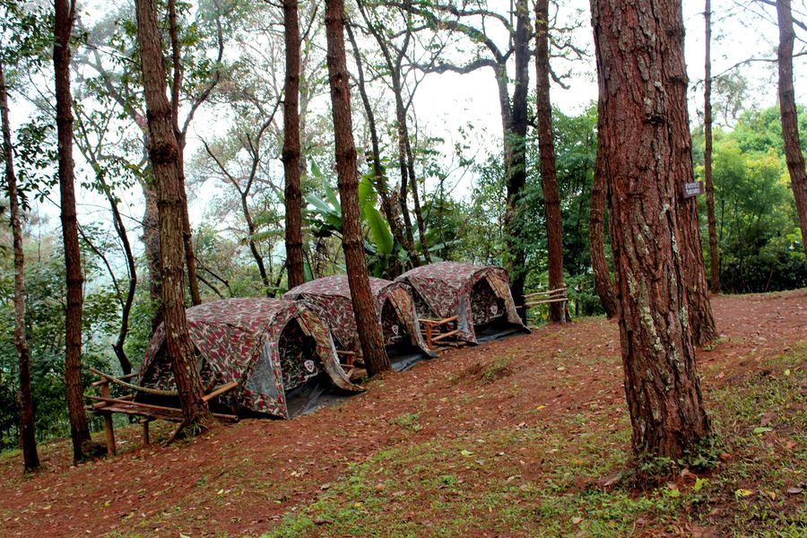 Dandeli highlight