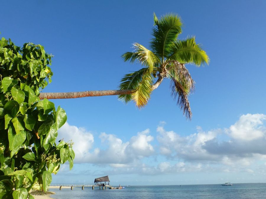 Mamanuca Islands highlight