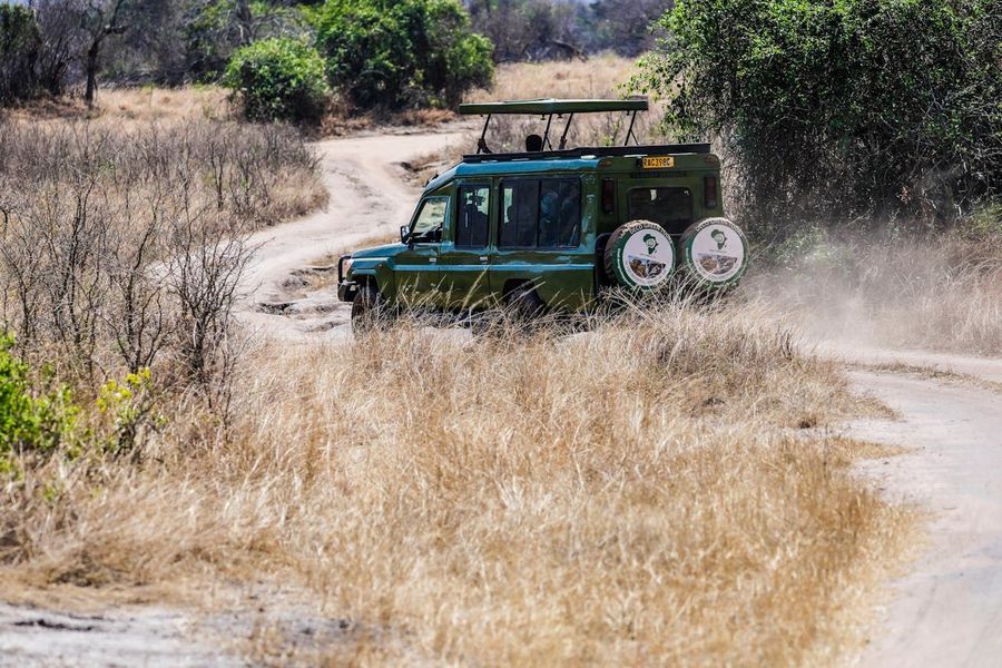 Tala Zone Safari