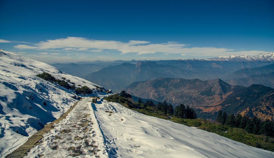 Chopta highlight