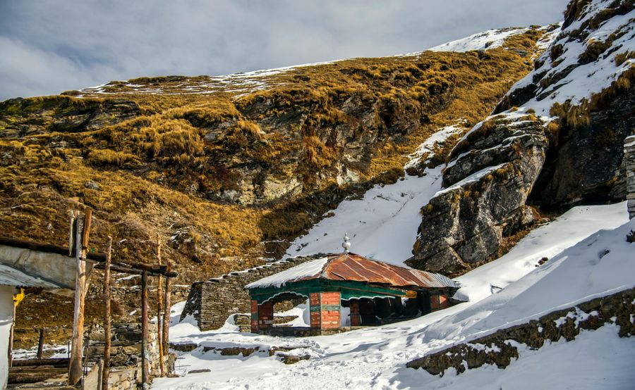 Chopta highlight