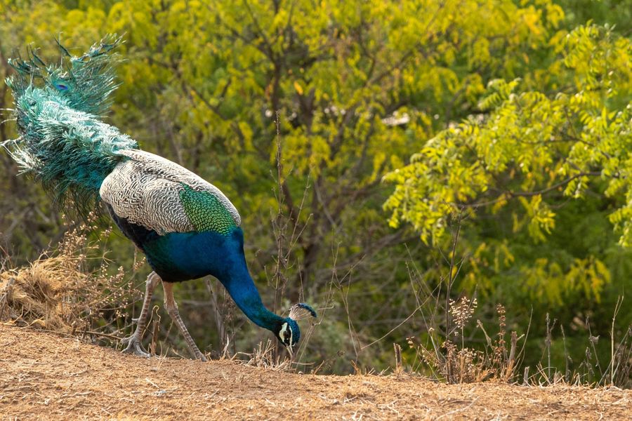 Day Trip from Delhi