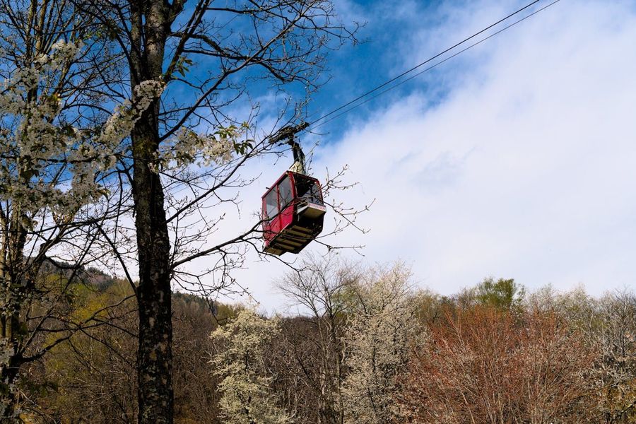 Timber Trail Cable Car