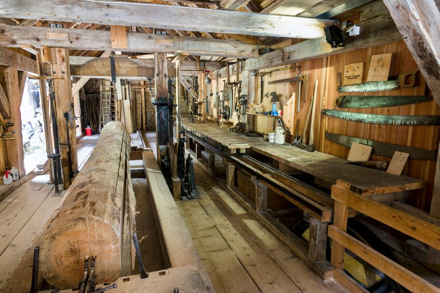 Timber Museum
